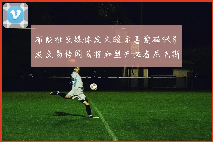布朗社交媒体发文暗示喜爱猫咪引发交易传闻或将加盟开拓者尼克斯雷霆湖人